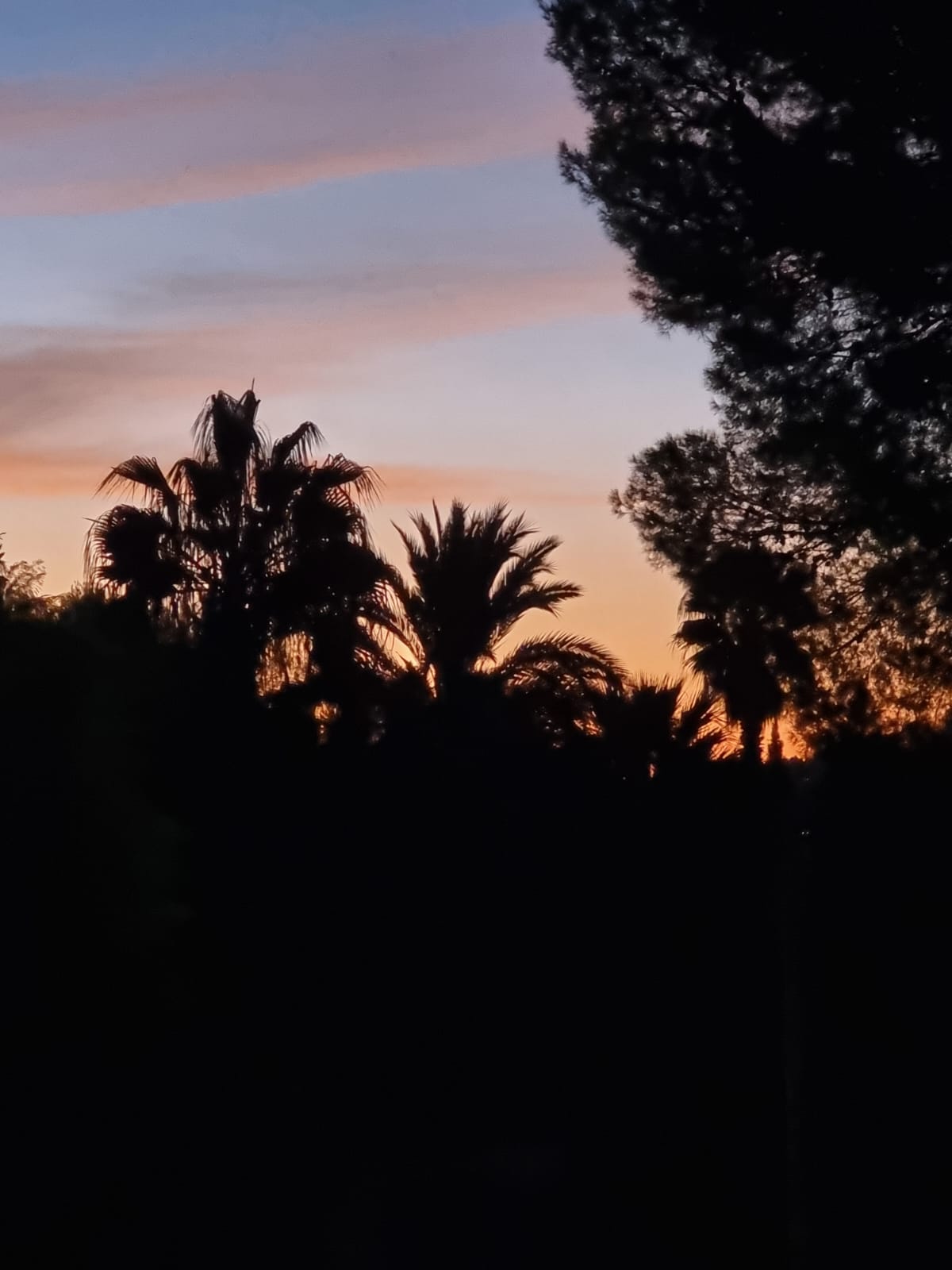 Villa te verkoop in Javea - Imagen 58
