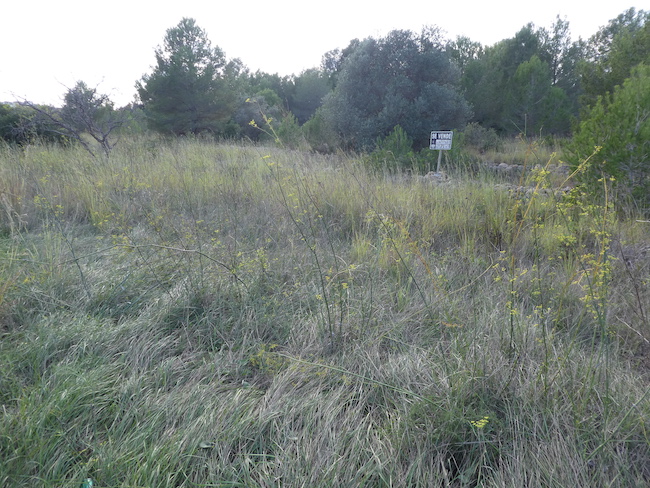Plot in Javea