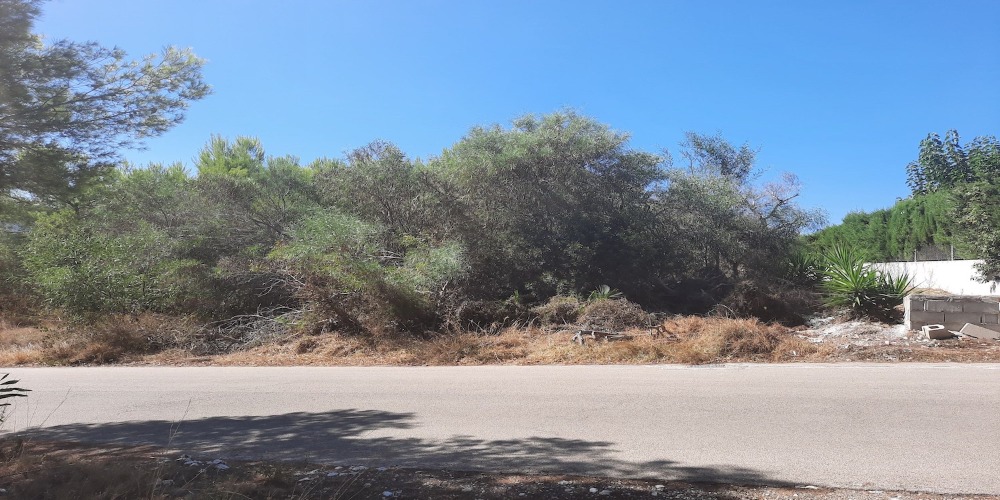 Venta. Parcela en Javea
