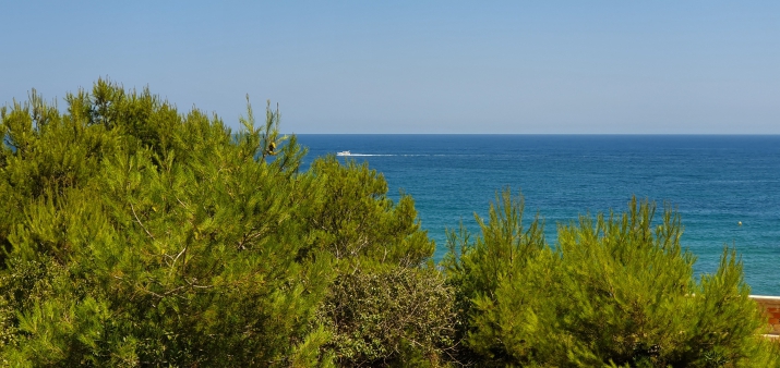 Venta. Villa en Javea