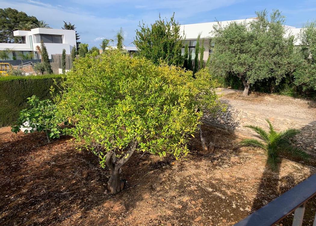 Venta. Villa en Javea