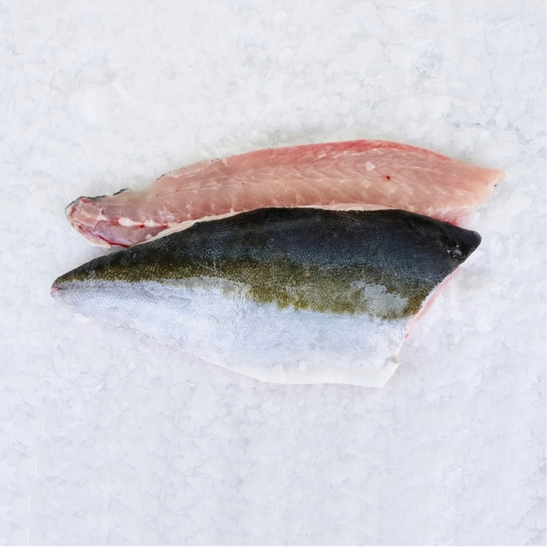 King Fish