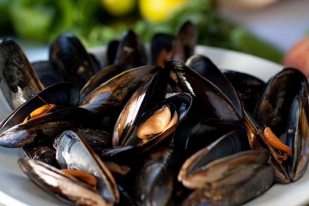 Mussels