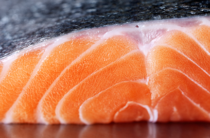 Salmon