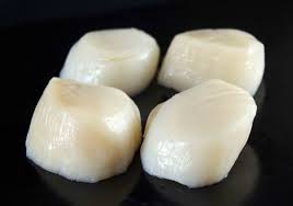 Scallops