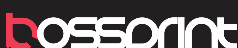 Orion Global Enterprise banner company