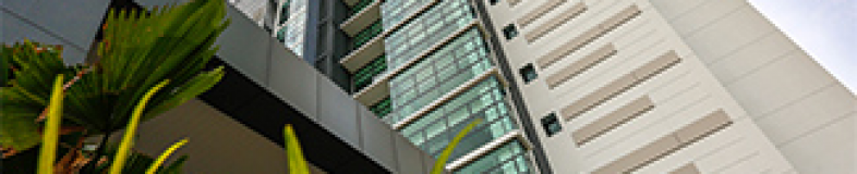 Dreamedge Sdn Bhd banner company