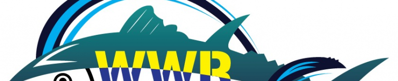 WWR Empire Solution banner company