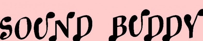 Sound Buddy Music Academy banner company