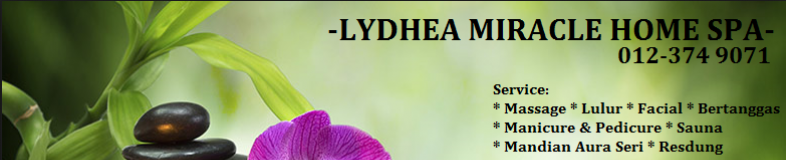 Lydhea Miracle Home Spa banner company