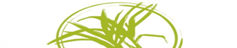 Lemongrass House banner company