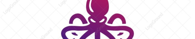 Octopus Digital Co banner company