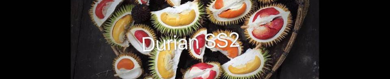 Durian SS Two (1998) Sdn Bhd banner company