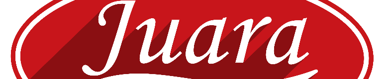 Juara Travel & Tours Sdn Bhd banner company