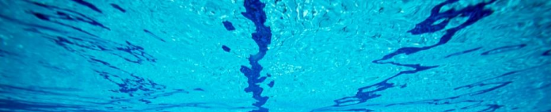 Piranha Swimming Academy banner company
