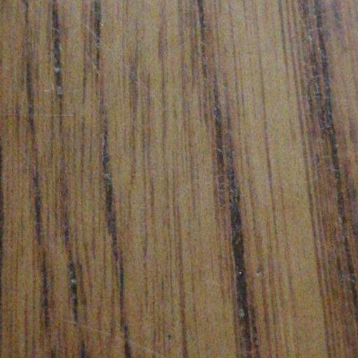 TANG KANG YAO's avatar'