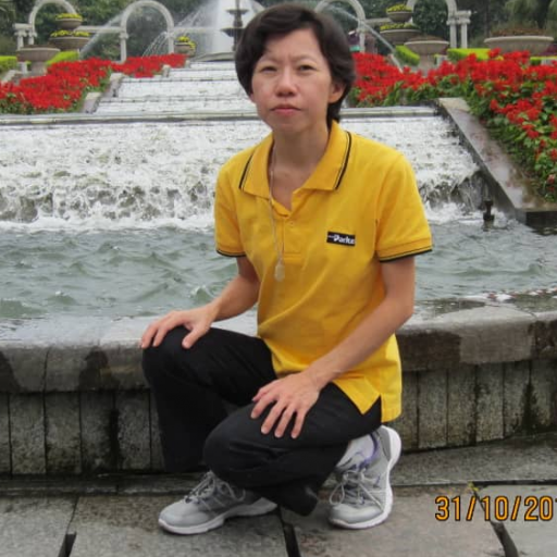 Wong Suit Mooi's avatar'