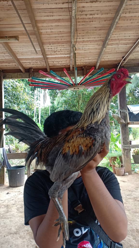 Jukiee Official's avatar'