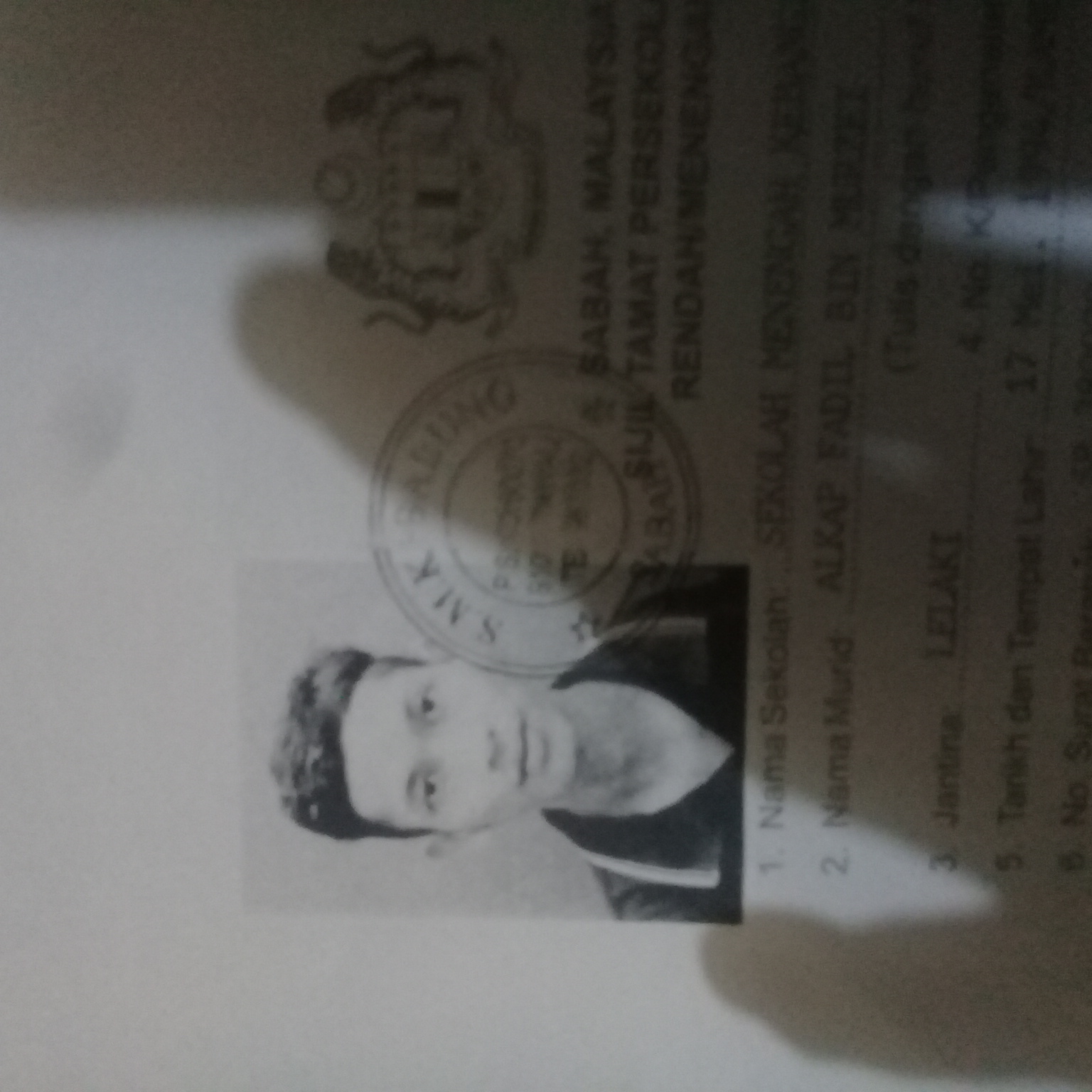 alkap fadil's avatar'