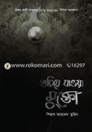 হারিয়ে যাওয়া মুক্তো image