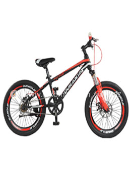 20 inch cycle price