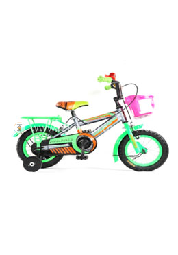 12 inch cycle price