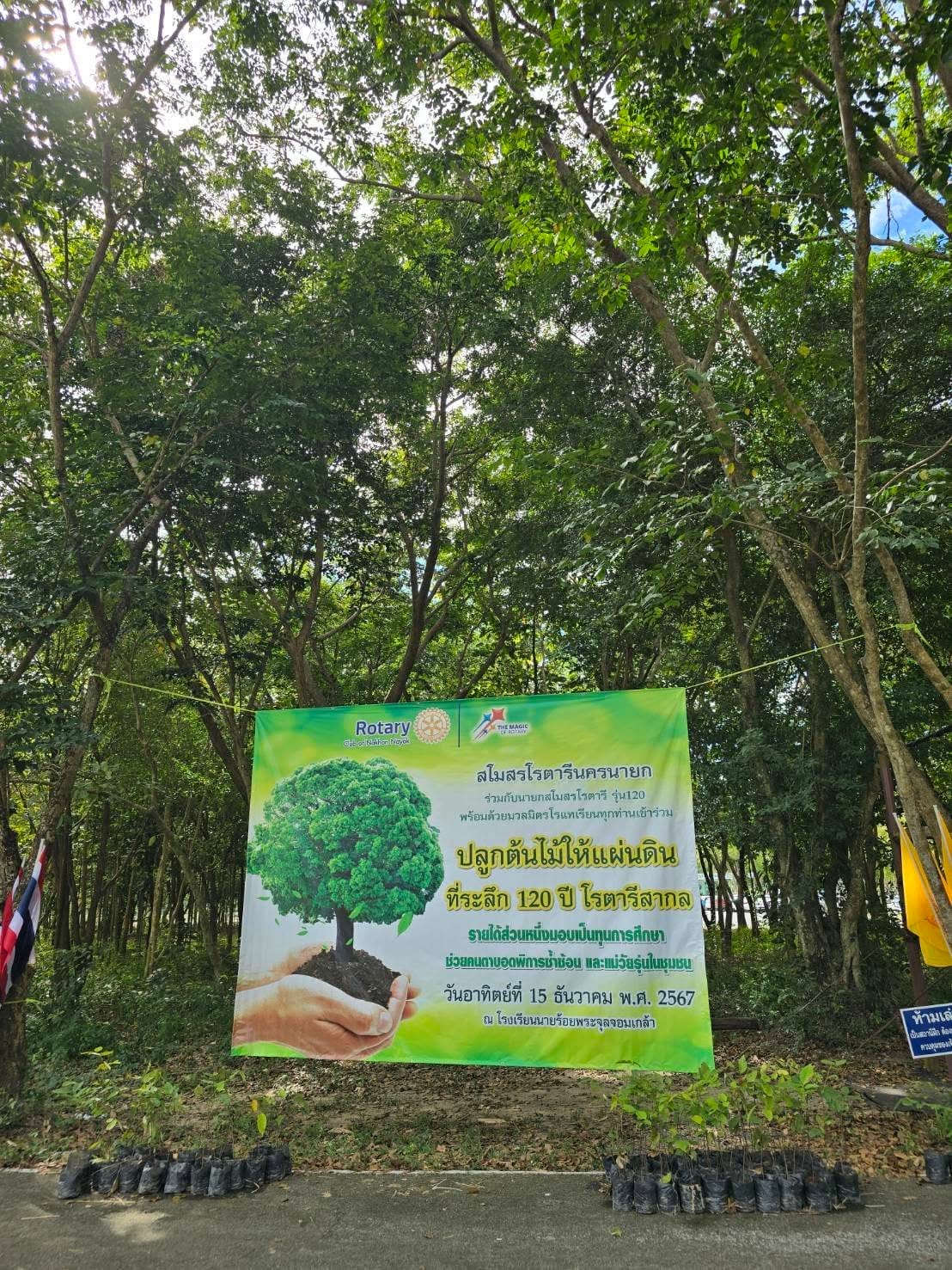 Planting trees for the land – Celebrating 120 years of Rotary International