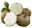 Pueraria Mirifica