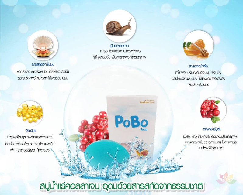 Xà phòng trắng da dưỡng da Pobo Soap ảnh 6