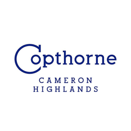 Brand's Logo