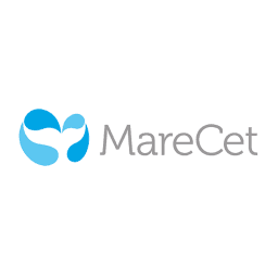Brand's Logo