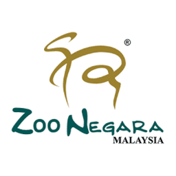 Brand's Logo