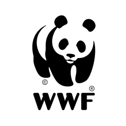 Brand's Logo