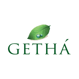 Brand's Logo