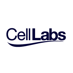 Brand's Logo