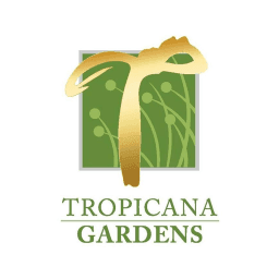 Brand's Logo
