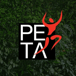 Brand's Logo