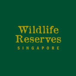 Brand's Logo