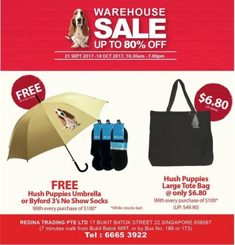 puppies for sale flyer