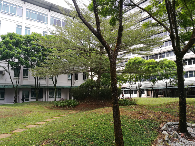 Swinburne University of Technology Malaysia Fees, Intake, Scholarship Swinburne University of Technology Malaysia Fees, Intake, Scholarship