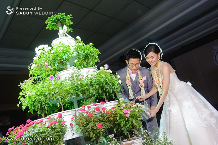 รดน้ำต้นไม้,บ่าวสาว,ชุดบ่าวสาว,พิธีแต่งงาน,ตกแต่งงานแต่ง,รูปงานแต่ง,ชุดเจ้าสาว,ชุดเจ้าบ่าว รีวิวงานแต่ง หมั้นเฮฮากับหมีแพนด้า ธีมรักคือการให้ @Sofitel Sukhumvit