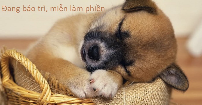 Bán lẻ