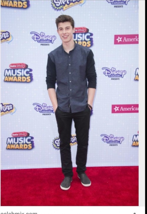 Shop Colours Shawnmendes Outfit Shirt Shoes On Seenit 50635