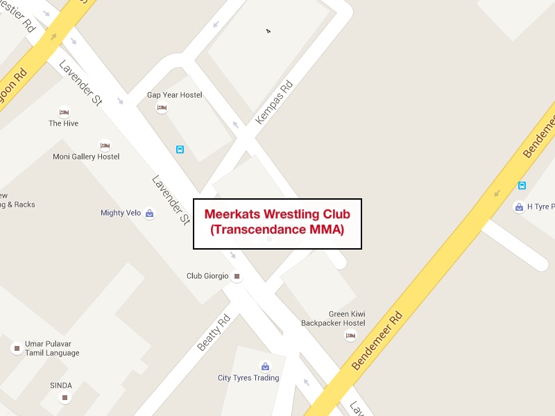 Meerkats Wrestling Club (Transcendance MMA)