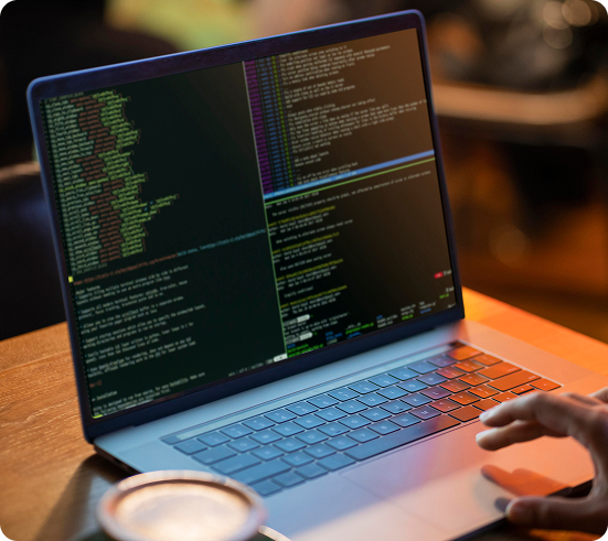 Web developement services