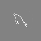 MySQL MySQL