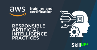 Responsible Artificial Intelligence Practices