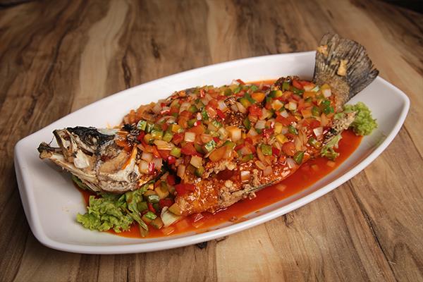 Fish 鱼
