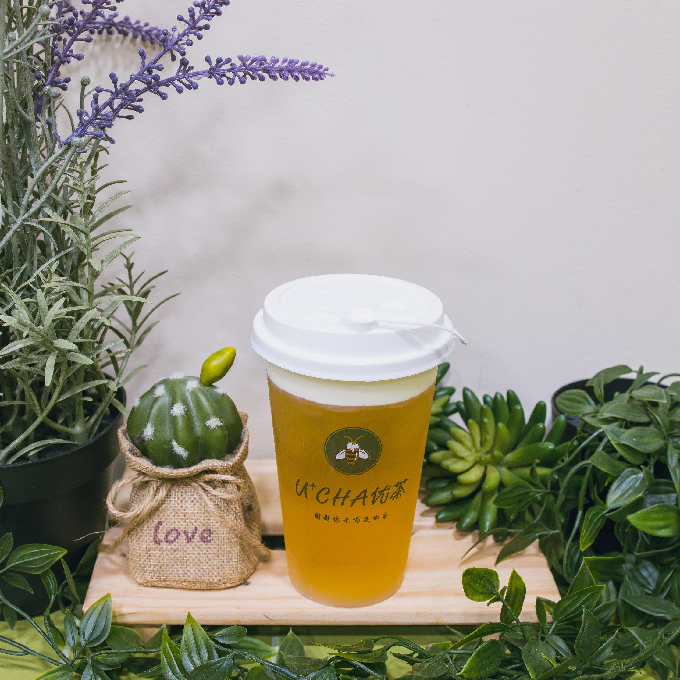 U Cheese Tea 优芝士茶