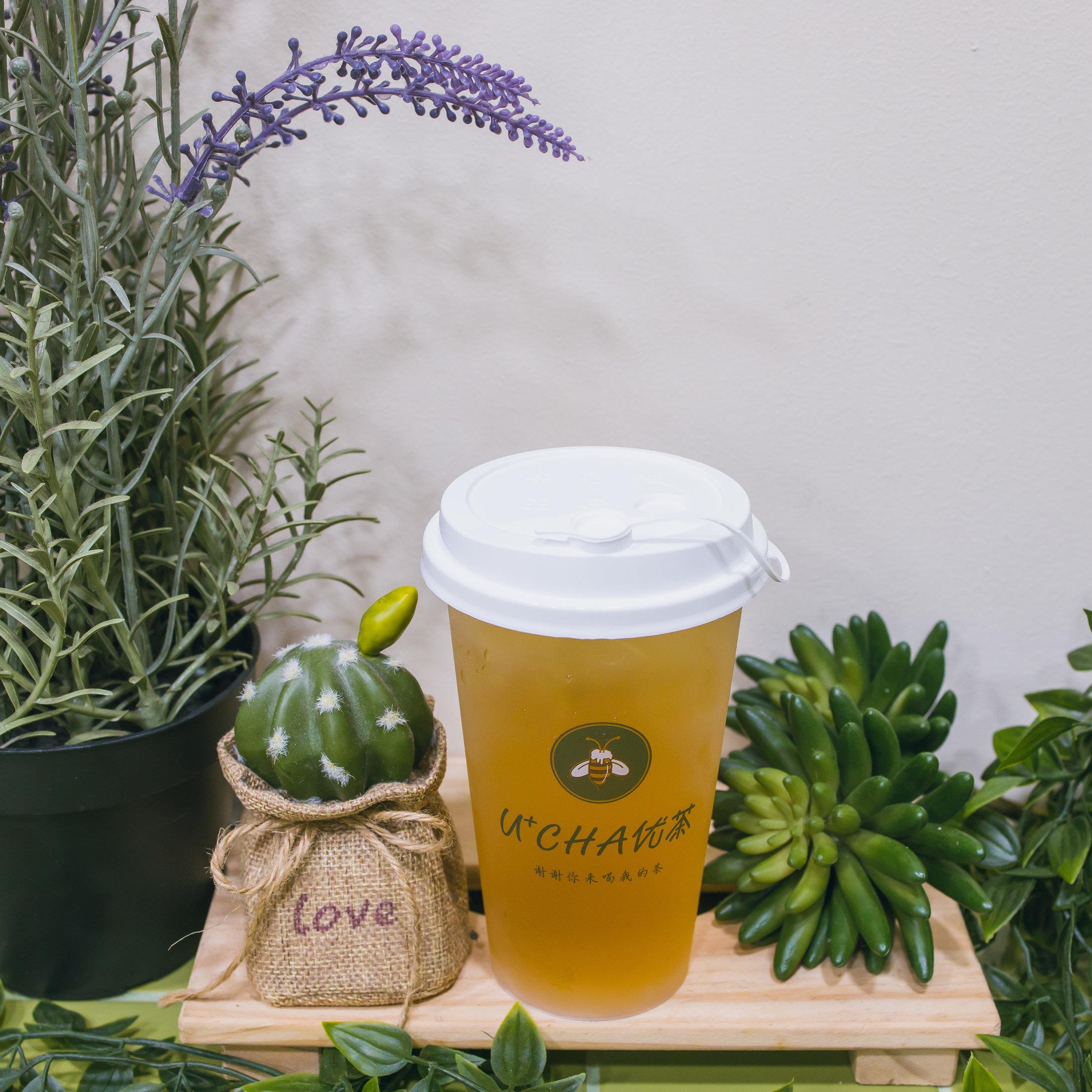Brewed Series 纯茶系列